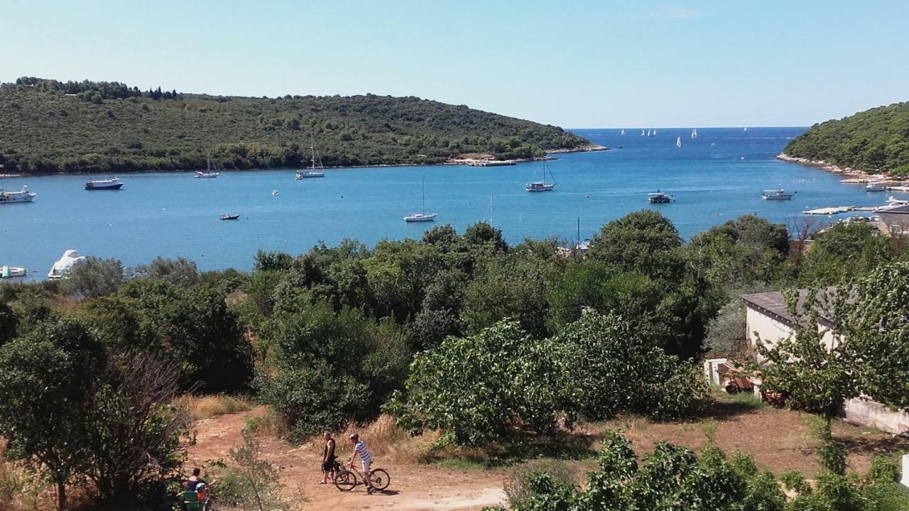 Apartman Lana Banjole